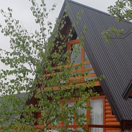 Villa Wood Borje Žabljak Eksteriør bilde
